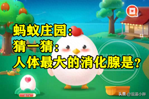 经常吃汤泡饭蚂蚁庄园(今日蚂蚁答题正确答案)插图3