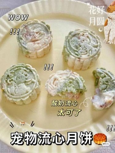 问道法金怎么加点(问道平民法金怎么加点)插图2