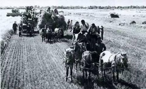 新疆生产建设兵团(新疆两个武警总队多少兵力)