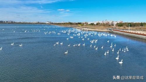 威海荣成温泉排名前十(威海哪个温泉是天然温泉)插图8 威海荣成温泉排名前十(威海哪个温泉是天然温泉)插图8