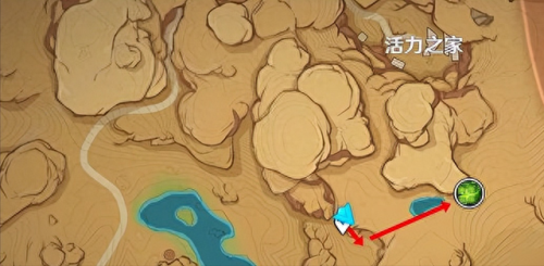 无相之草在哪个位置(原神无相之草入口)