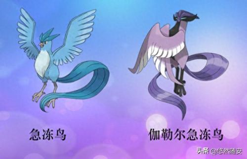 波克比几级进化(口袋妖怪魂银波克比几级进化好)插图