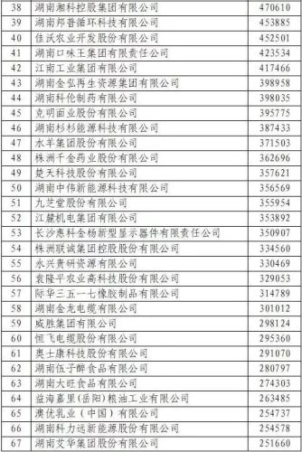 株洲长沙企业排名前十(湖南十大企业排名)插图9 株洲长沙企业排名前十(湖南十大企业排名)插图9