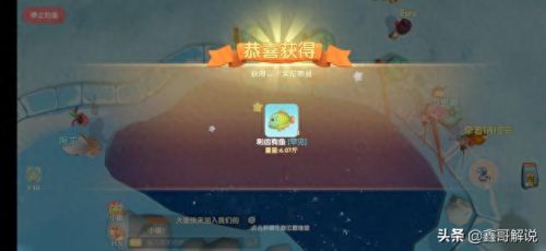 摩尔庄园花香金鱼(摩尔庄园)插图15 摩尔庄园花香金鱼(摩尔庄园)插图15