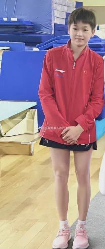 冠军之路地图(冠军之路2层路线图)插图 冠军之路地图(冠军之路2层路线图)插图