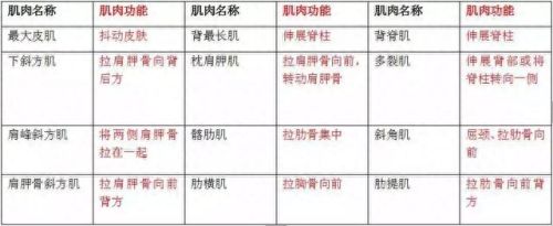 猫为什么能像液体一样缩在盒子里(猫舔到疫苗液体会怎么样)插图7