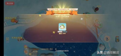 摩尔庄园钓鱼攻略最新(摩尔庄园沙漠钓鱼点)插图16 摩尔庄园钓鱼攻略最新(摩尔庄园沙漠钓鱼点)插图16