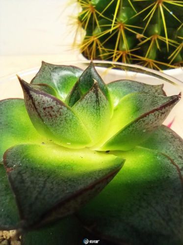 nba2k9(nba2k系列哪个最好玩)插图20 nba2k9(nba2k系列哪个最好玩)插图20