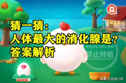 经常吃汤泡饭蚂蚁庄园(今日蚂蚁答题正确答案)插图2