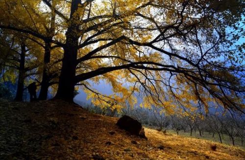 桂林著名村庄排名前十(国外有些哪有名的村庄)插图2 桂林著名村庄排名前十(国外有些哪有名的村庄)插图2