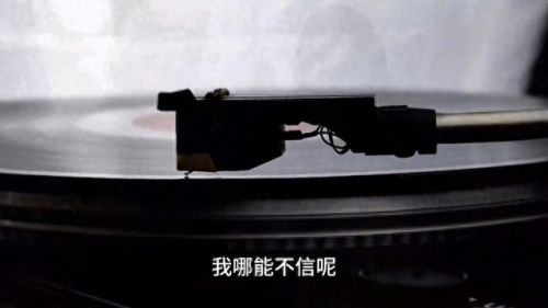 哪种动物的叫声和猫咪差不多(猫咪20种叫声代表什么)插图3