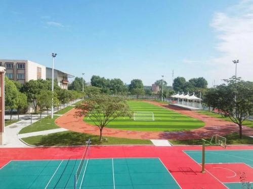 丁字型耳机排名前十(半入耳有线耳机什么牌子音质好)插图29 丁字型耳机排名前十(半入耳有线耳机什么牌子音质好)插图29