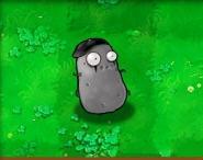 植物大战僵尸1老版本(plants vs zombies原版)