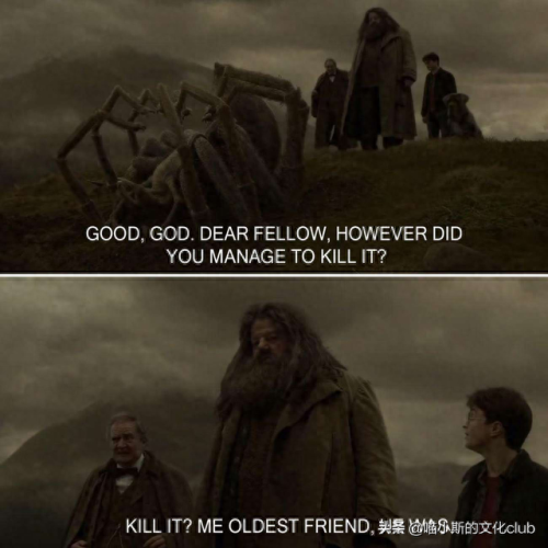 海格的礼物(海格的幸福生活)插图4 海格的礼物(海格的幸福生活)插图4