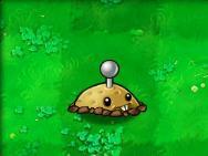 植物大战僵尸1老版本(plants vs zombies原版)插图41