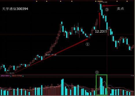100000000迷你币永久激活码(万能激活码6位)插图13