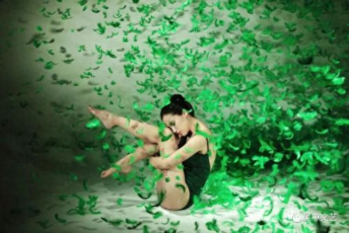 魅影精灵(魅影精灵配卡)插图12