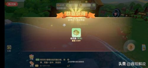 摩尔庄园钓鱼攻略最新(摩尔庄园沙漠钓鱼点)插图 摩尔庄园钓鱼攻略最新(摩尔庄园沙漠钓鱼点)插图