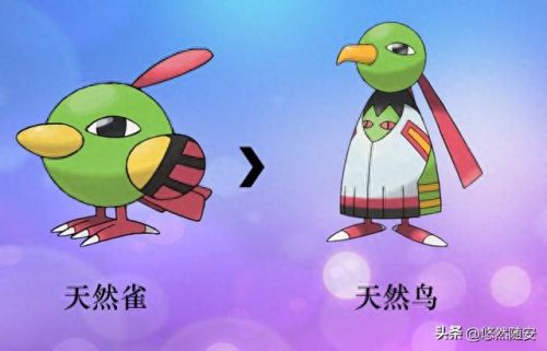 波克比几级进化(口袋妖怪魂银波克比几级进化好)插图16