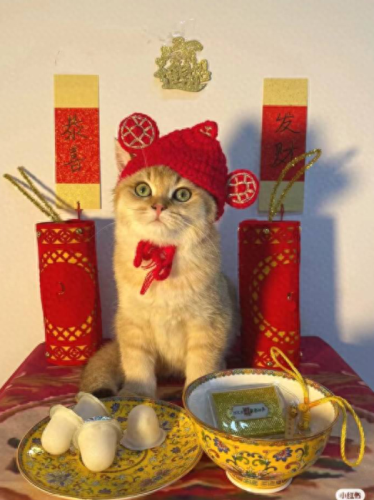 问道法金怎么加点(问道平民法金怎么加点)插图3