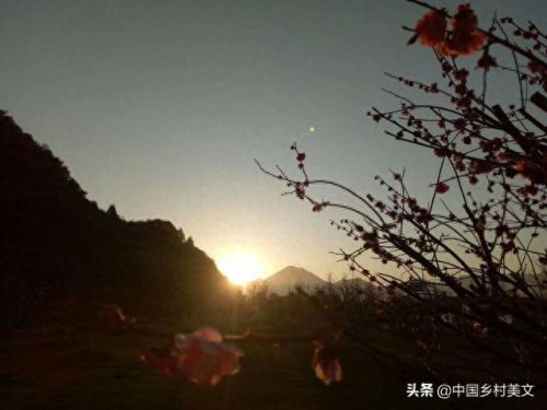 流浪天赋(流浪法师符文天赋)插图3 流浪天赋(流浪法师符文天赋)插图3