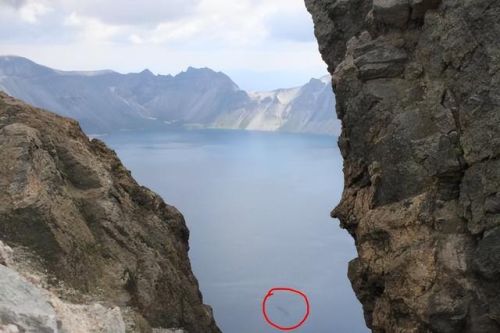 全球不明生物排名前十(中国十大不明生物图片)插图1 全球不明生物排名前十(中国十大不明生物图片)插图1