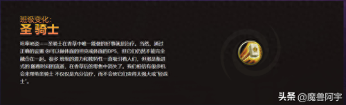 圣骑士(圣骑士的传说)插图