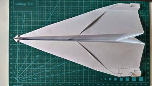 世界纸飞机排名前十(飞得最远的十大纸飞机)插图11 世界纸飞机排名前十(飞得最远的十大纸飞机)插图11