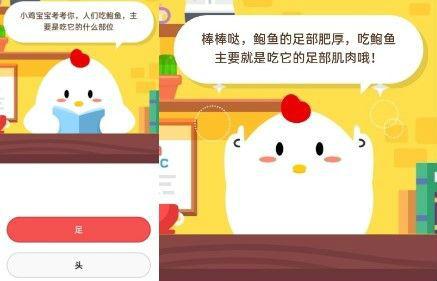 人们吃鲍鱼主要是吃它的什么部位(来大姨妈时可以吃鲍鱼吗)