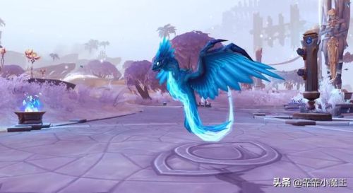 猎人宝宝大全带图(60怀旧服猎人实用宏)插图4