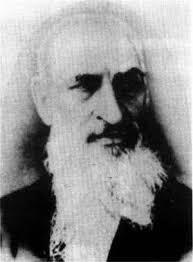 洛克王国紫藤的快速收集方法(洛克王国紫藤可掉落吗)插图45