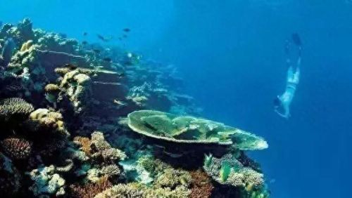 牛奶鱼群汤(牛奶麻酱汤做法大全)插图15 牛奶鱼群汤(牛奶麻酱汤做法大全)插图15