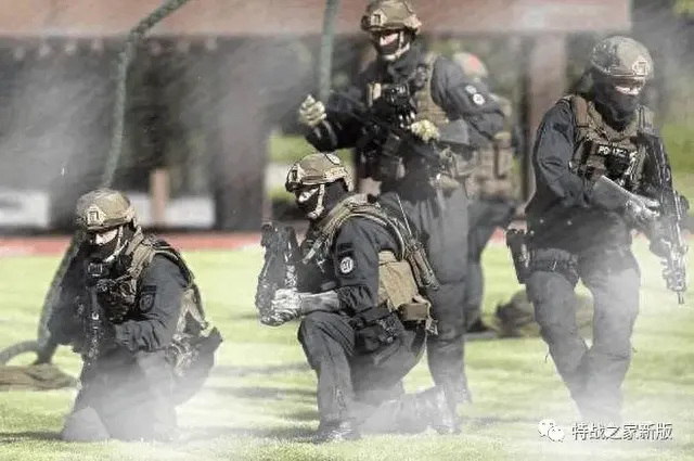 洛克王国伏地兽(洛克王国伏地兽绝版了吗)插图10