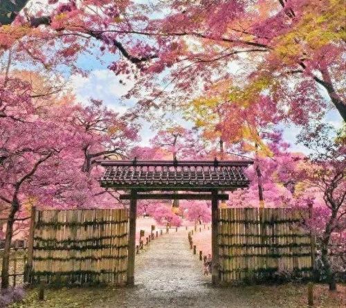 萧萧宵征枫叶在公蚂蚁庄园(萧萧游戏解说)插图4 萧萧宵征枫叶在公蚂蚁庄园(萧萧游戏解说)插图4