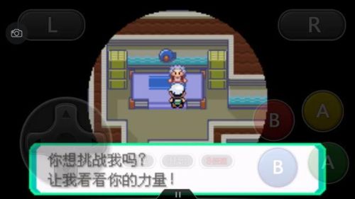 口袋妖怪绿宝石386二周目攻略(幻影之塔每一层有什么精灵)插图73