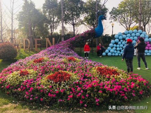 洛克王国紫藤(洛克王国紫藤的快速收集方法)插图49