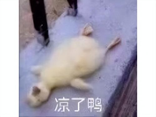 网易游戏大全手机游戏(网易手游都有哪些)插图29