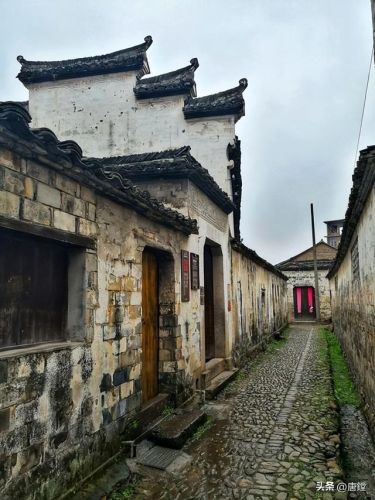 梦幻诛仙河阳寻访(梦幻诛仙寻访任务查询器)