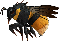 wow猎人宠物图鉴(联盟猎人必抓宠物一览表)插图16 wow猎人宠物图鉴(联盟猎人必抓宠物一览表)插图16