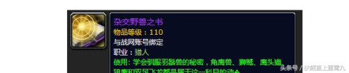 魔兽世界破碎群岛灵魂兽(wow灵魂兽大全13只)插图3