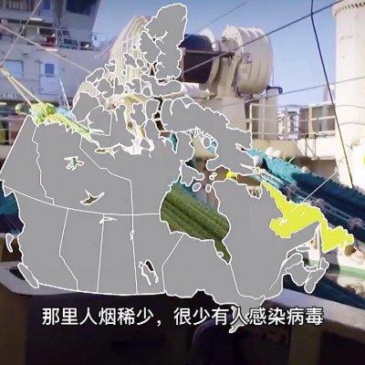 奇异炸冰虾火候(奇异炸冰虾菜谱怎么研究)插图2