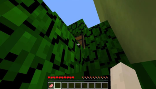 我的世界解密地图解说(鲤鱼解说我的世界生活大冒险)插图10 我的世界解密地图解说(鲤鱼解说我的世界生活大冒险)插图10