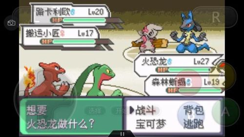 口袋妖怪绿宝石386二周目攻略(幻影之塔每一层有什么精灵)插图55