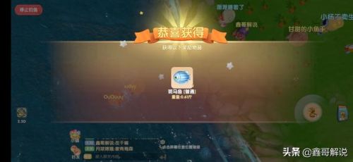 摩尔庄园开心果蔬饼烹饪攻略(摩尔庄园所有菜谱怎么做)插图29 摩尔庄园开心果蔬饼烹饪攻略(摩尔庄园所有菜谱怎么做)插图29