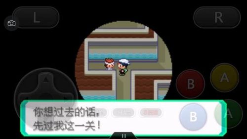 口袋妖怪绿宝石386二周目攻略(幻影之塔每一层有什么精灵)插图63
