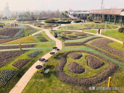 洛克王国紫藤(洛克王国紫藤的快速收集方法)插图40