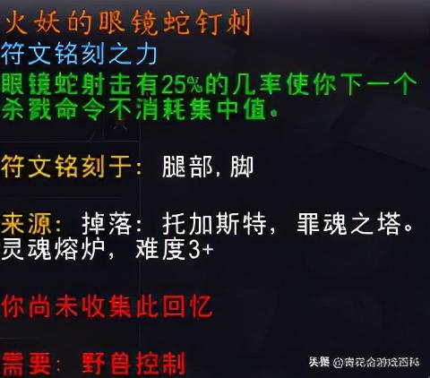 暗影国度兽王猎人天赋(wow335兽王猎人天赋图)插图5