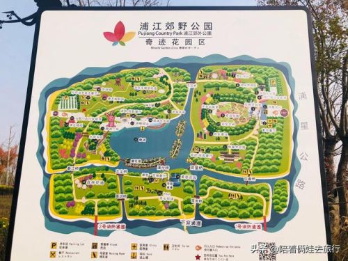 洛克王国紫藤(洛克王国紫藤的快速收集方法)插图1