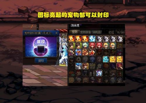 dnf拍卖行能买到的宠物(dnf宠物装备拍卖行怎么搜)