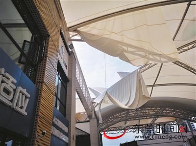 玻璃石龙(龙石种和玻璃种哪个好)